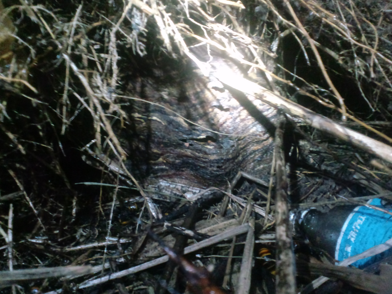 �I�I�X�Y���o�`