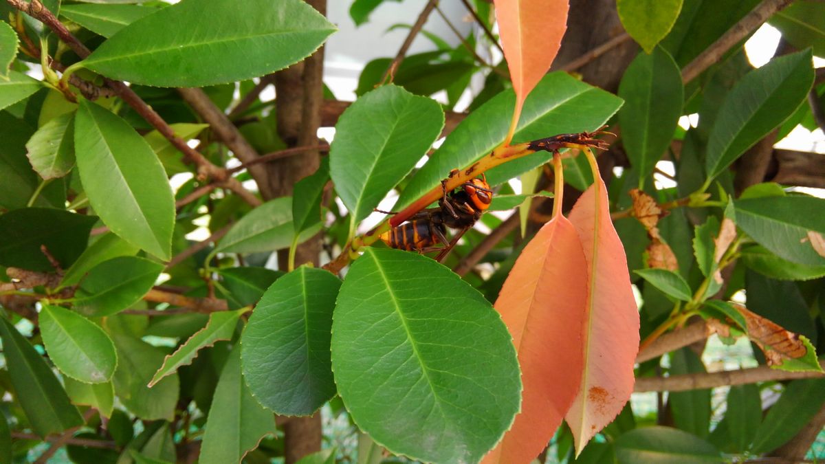 �R�K�^�X�Y���o�`�P�O��