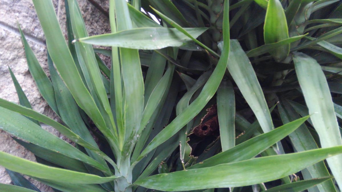 �R�K�^�X�Y���o�`