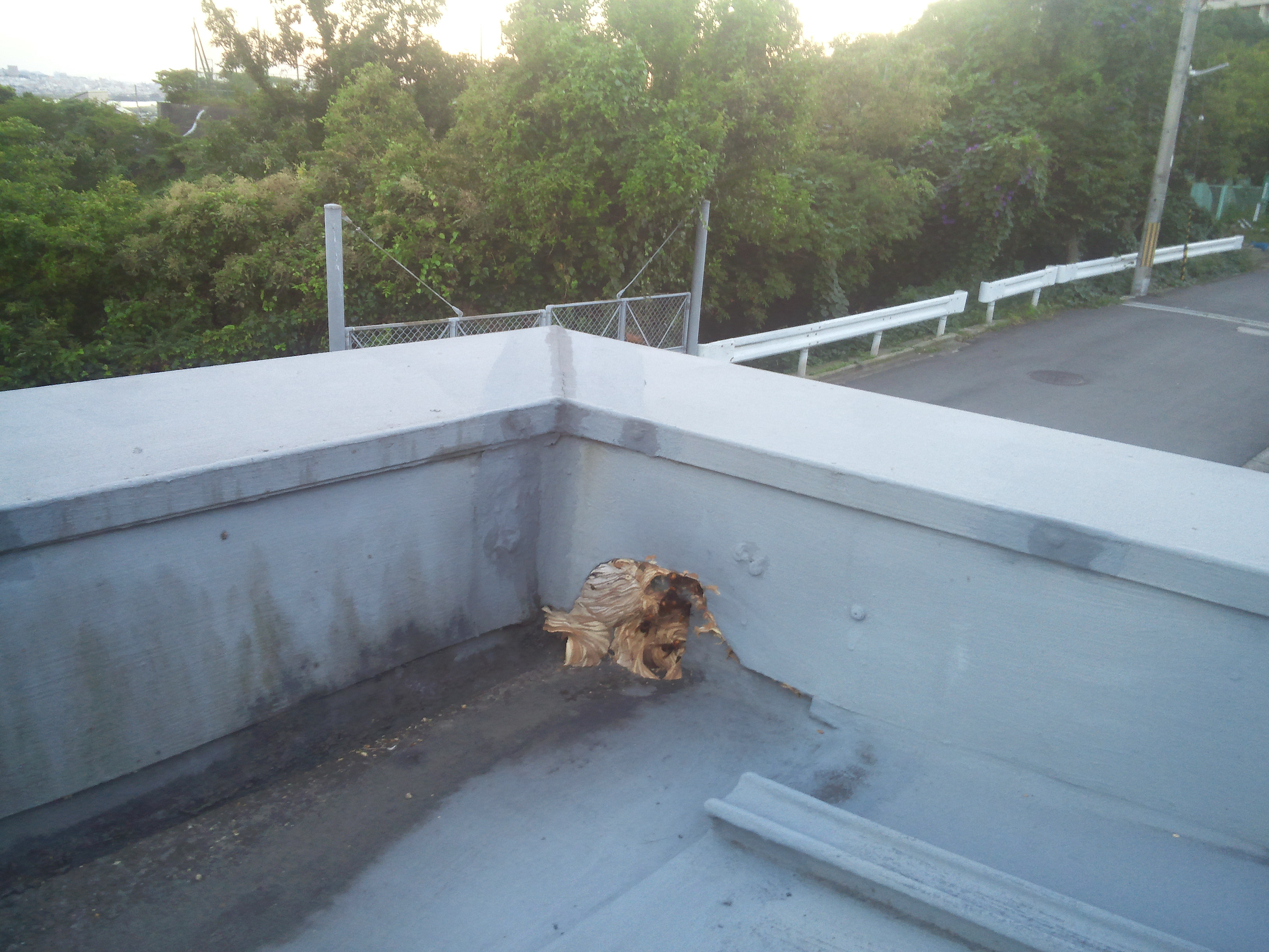 �����X�Y���o�`