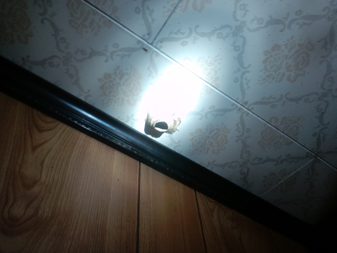 ���炬���Ń����X�Y���o�`�쏜