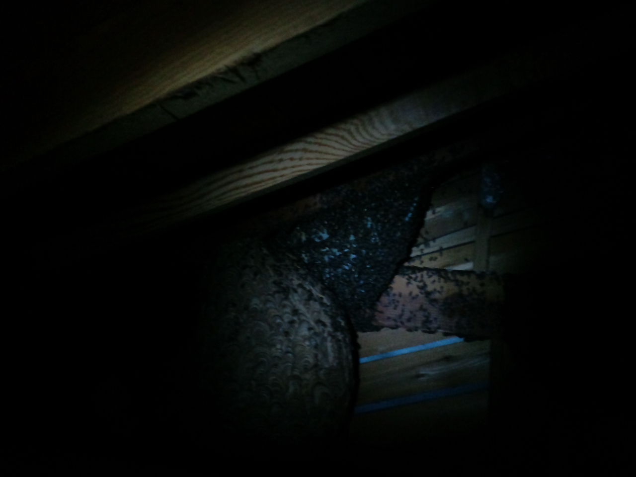 �X�Y���o�`�ƃ~�c�o�`