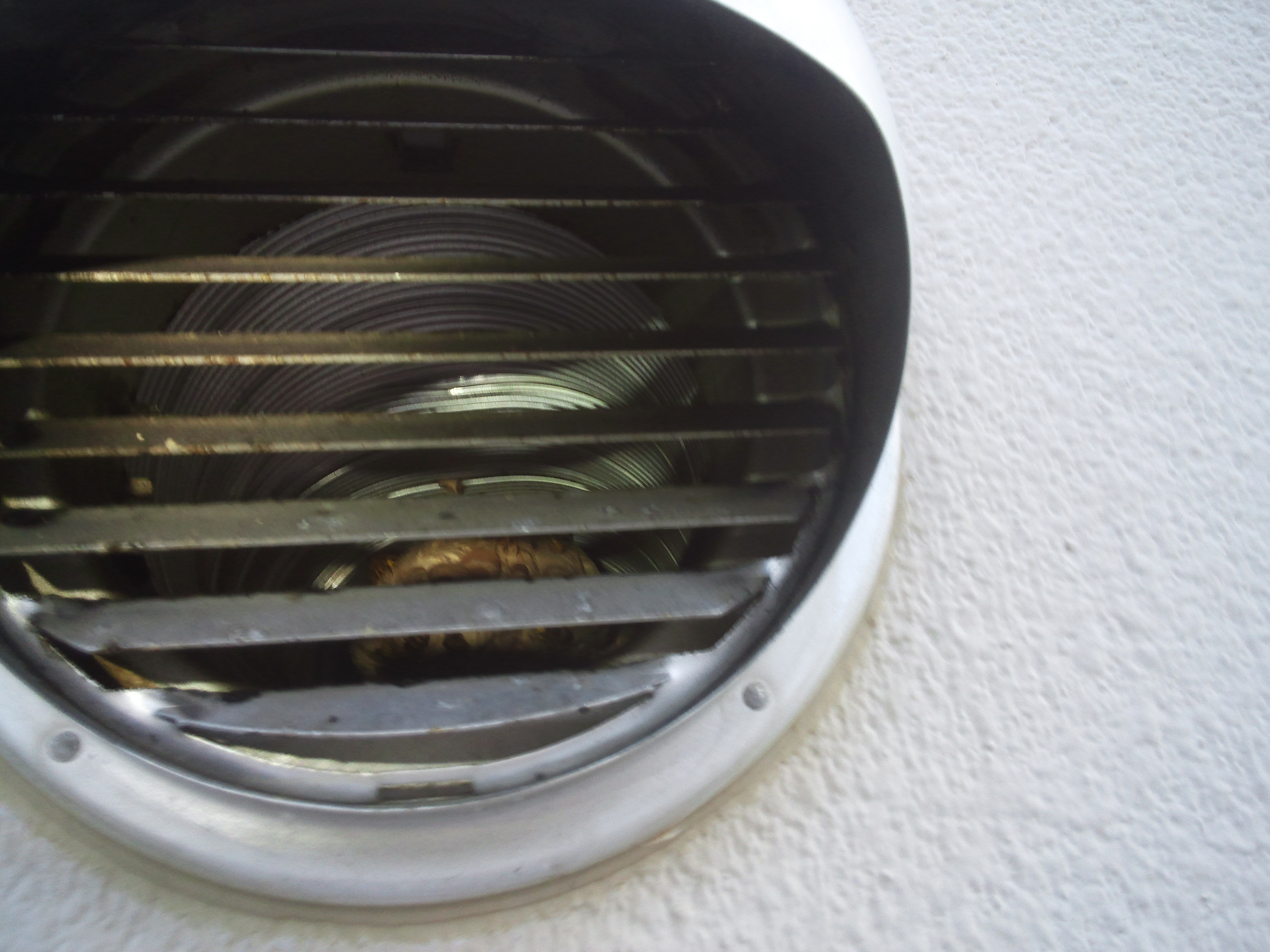 ダクトの中のスズメバチ駆除