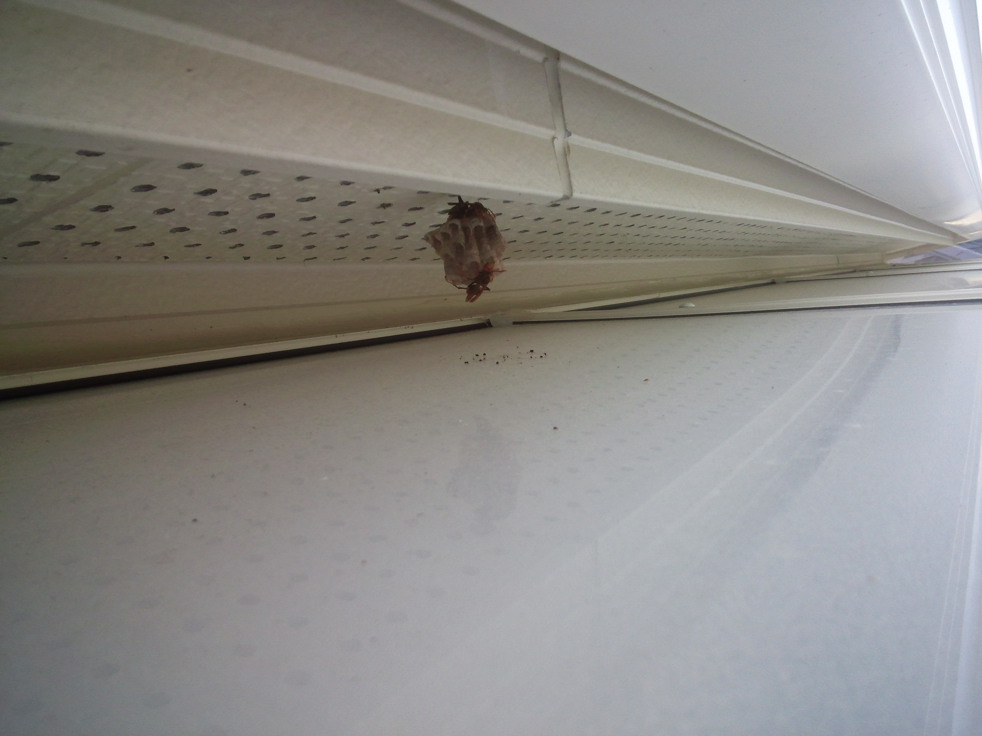 �A�V�i�K�o�`�U��