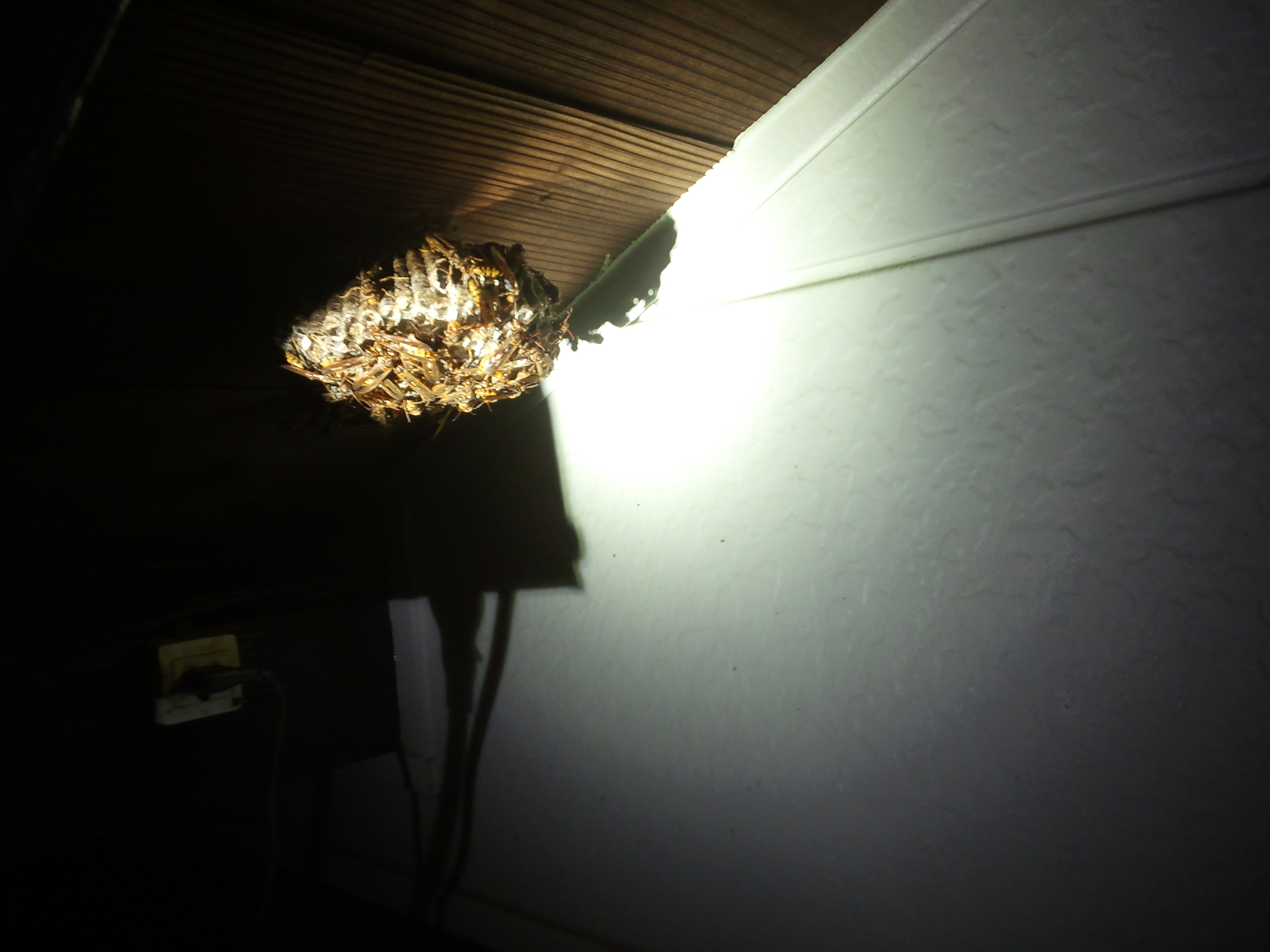 �A�V�i�K�o�`�X��