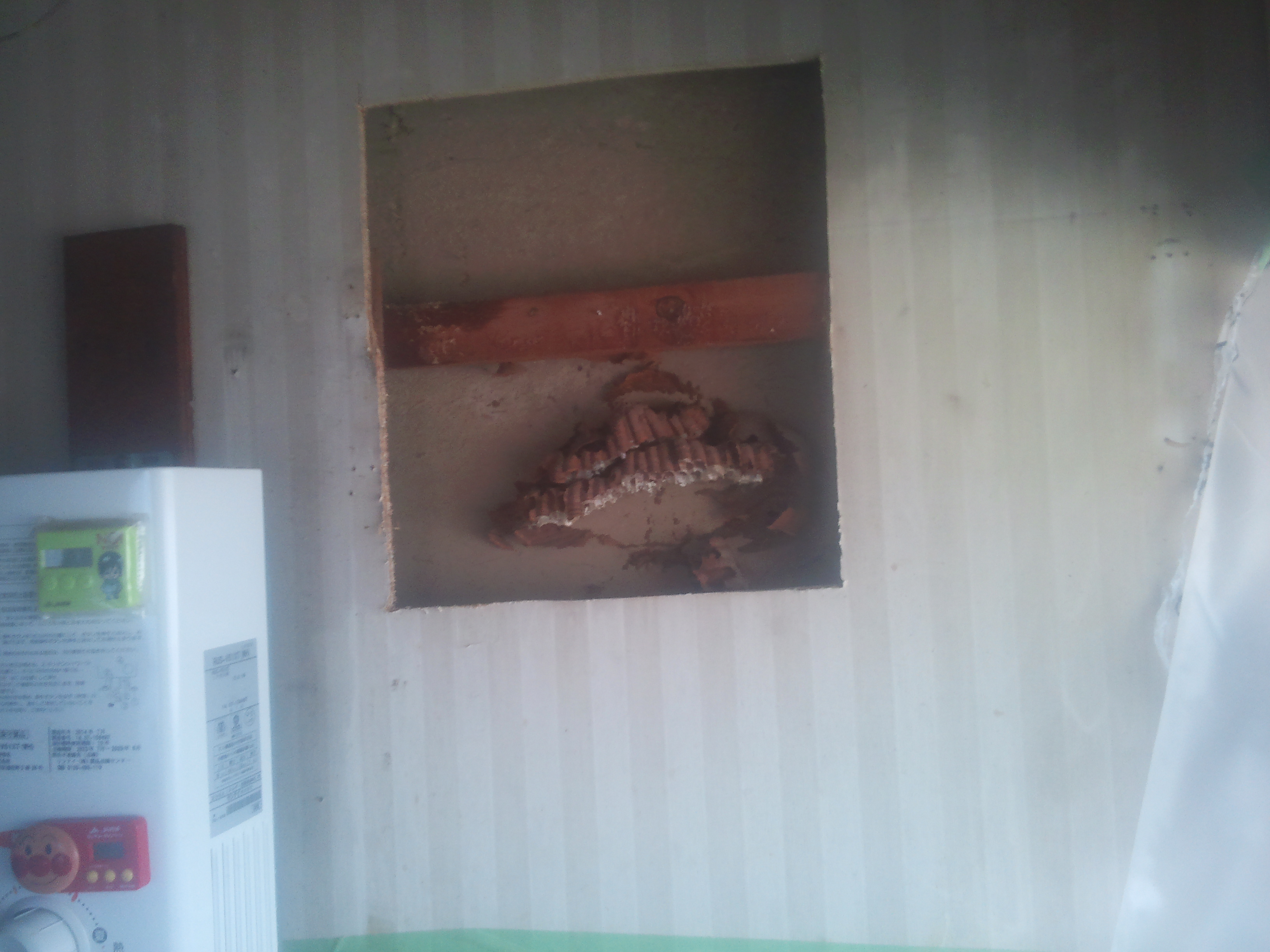 �ǂ̊ԂɃq���X�Y���o�`�̑�