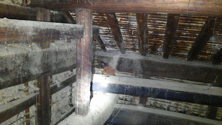 �C��s�ŃL�C���X�Y���o�`�쏜