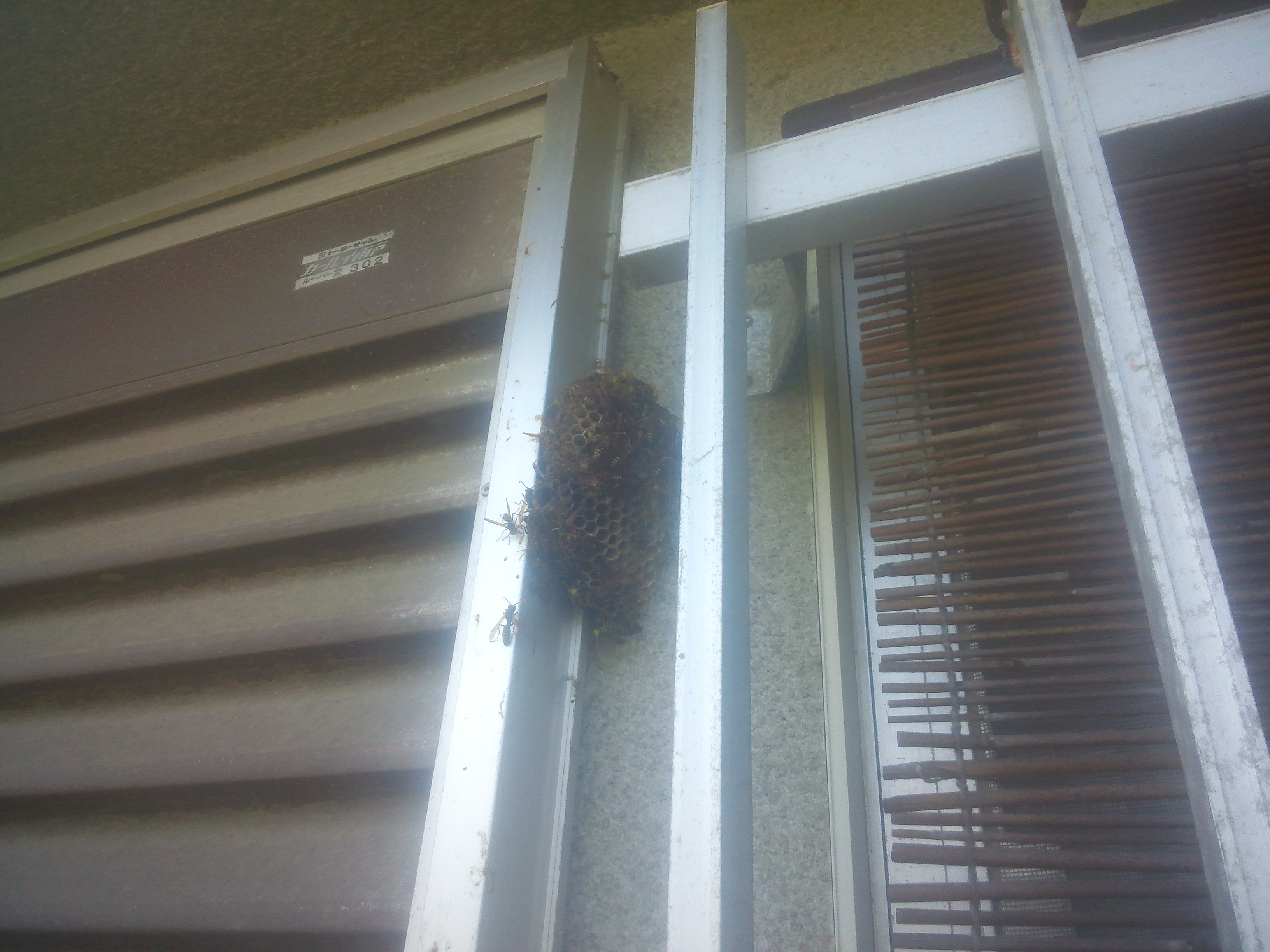 �C��s�ŖI�쏜