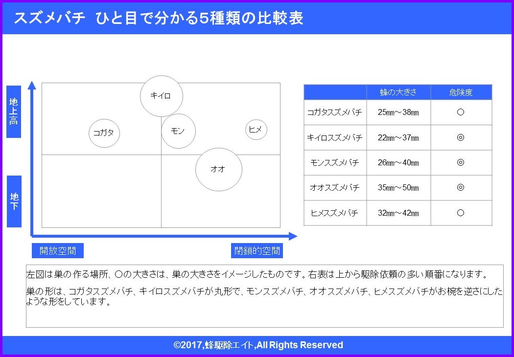 �X�Y���o�`�̎�ނ̔�r�\